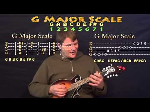 Mandolin Crash Course for Beginners - Easy First Lesson