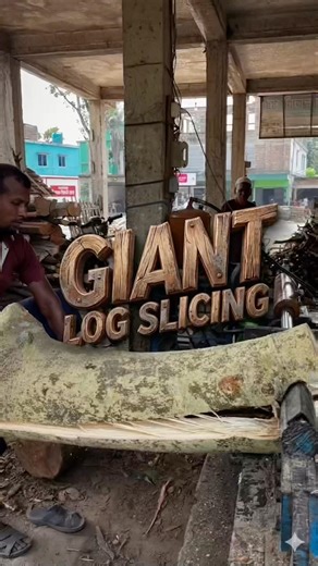 Amazing Modern Technology: Giant Log Cutting Process#woodcutting #wood #woodworking #modernmachinery