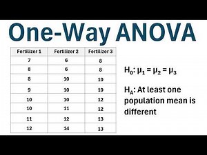 How to Perform a One-Way ANOVA (Step-by-Step Example)