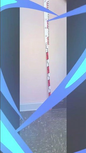 Der freie Fall - eine Videoanalyse