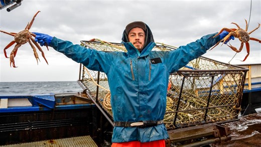 Discovery GO - Watch TV Shows Online