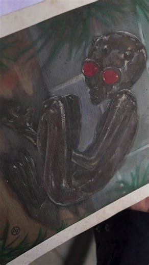 Ghosteas | Paranormal Podcast on Instagram: "An alien was spotted in Brazil?! 👽 #ghosteas #ghost #tea #podcast #spooky #scary #haunted #paranormal #alien #brazil #UFO"