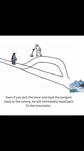 trolley problems | The penguin #TrolleyProblems #Philosophy #Psychology #penguin #nihilistpenguin | Instagram