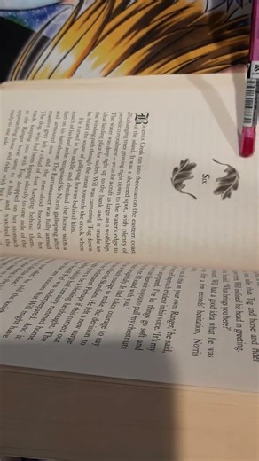 Come read Ranger’s Apprentice, The Sorcerer in the North along with me upside down! (Chapter 6.1)