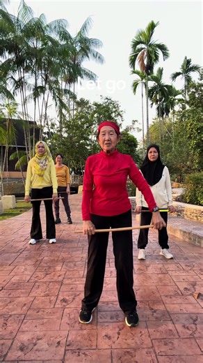 Taichi Gymnastics for Stability and Agility