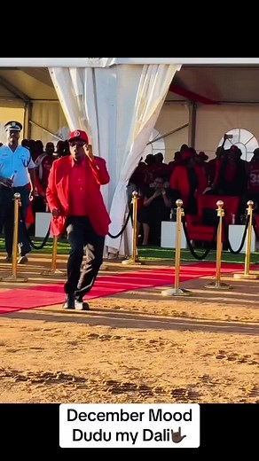 Dudu My Dali - Complete Video by Harry Cane | December Mood