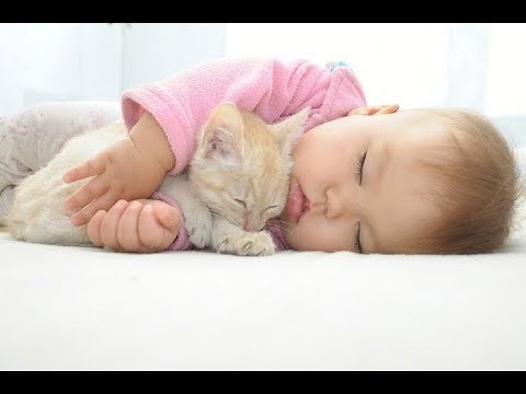 【ニヤニヤ注意】超癒される！猫と赤ちゃんの可愛い仲良し動画#1