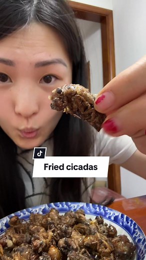 Would You Try This? Fried Cicada Bug Taste Test