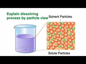 【New Mastering Science】Unit 6 | Dissolving