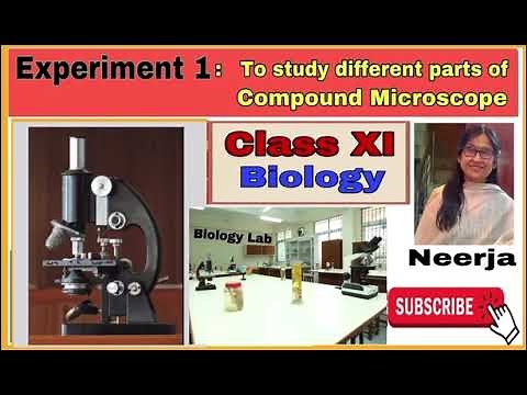 To study Parts of compound microscope/experiment 1/class11 Biology/1st term/by Neerja