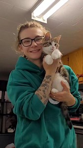 49K views · 2.3K reactions | Long video ahead! Kitty temperament test for service work  | Raw Fed Kitties | Facebook