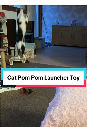Cat Pom Pom Ball Launcher Review for Playful Cats