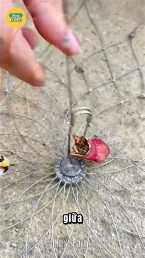 Unveiling the Smart Automatic Opening and Closing Technology of Stainless Steel Fish Traps!