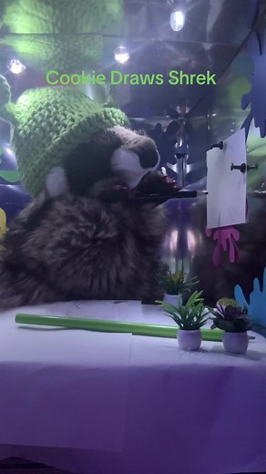 Creative Raccoon Drawing Inspiration from Shrek