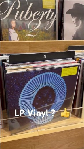 Wait… A Bookstore Selling Vinyl Records?! 🎵 Harry Styles !