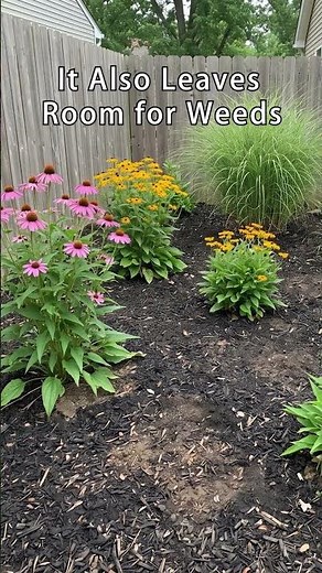 Don't SKIP the Ground Cover #lowmaintenancegarden #weedprevention #gardening #yardtips #gardentips