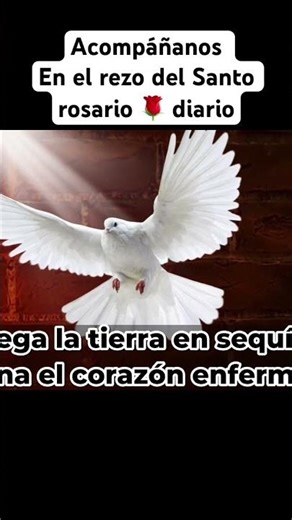 Oración al Espíritu Santo 🙏
