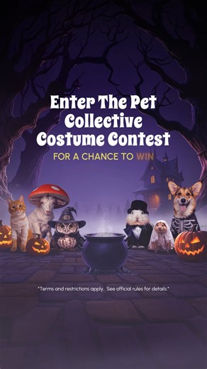 Look at that angelic face 🥺💕 Submit your best pet Halloween costumes for a chance to win $500 Gift Card! SUBMIT HERE: https://bit.ly/tpchalloween #Dog #Cat #Halloween #CostumeContest | The Pet Collective