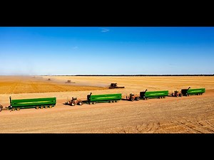 Erangy Farms taking off a bumper crop with four 45' headers (combines) in the Mid West of WA.