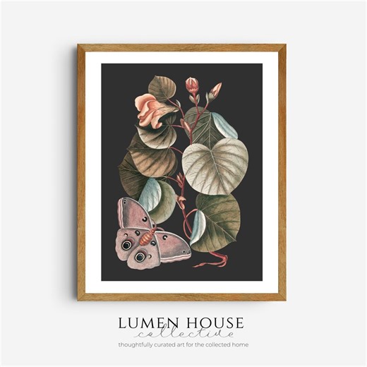 Vintage Moth Botanical Print | Moody Natural History Wall Art | Dark Charcoal Botanical Illustration Digital Download - Etsy