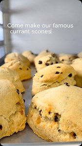 27 years of tradition, one perfect scone. Since 1998 we’ve been perfecting our currant scone recipe ensuring every bite is buttery, fluffy, and just the right amount of sweet. Whether you’re enjoying it in our historic cottage or brining the experience home, it’s a time-honored treat made to be shared! 🫶🏻 #theteahouseonlosrios #sanjuancapistrano #teatime #currantscone #tradition #afternoonescape #bakedtoperfection | The Tea House on Los Rios