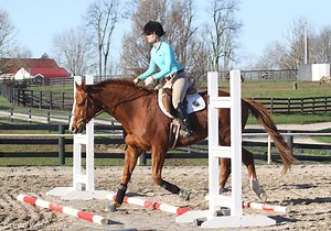 Get Your Horse Fit with Ground Poles