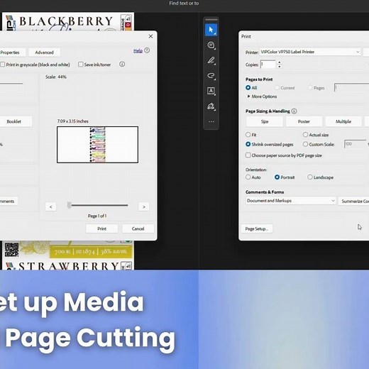 Print mulitiple up labels with VIPColor color label printer