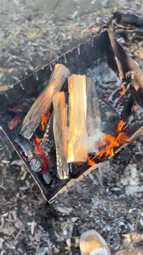 Filmy użytkownika wujek_Jasza (@wujek_jasza) z muzyką Pearls in Her Hair - Omega