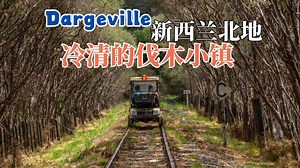 Dargeville新西兰🇳🇿北方小镇 | 沿着废弃铁道寻找河流与历史🌊🚂 Vol. 106