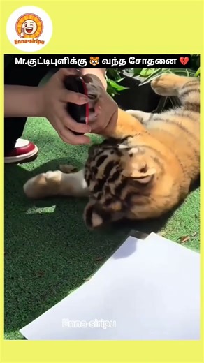 இது எங்க அம்மா கு தெருங்க அவோலோத 😂 #comedy #shorts