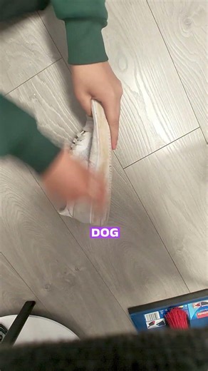 BUY SHOE DOG NOW CLICK LINK IN BIO NOW #cleanshoes #sneakers #shoecare #nike #sneakerhead