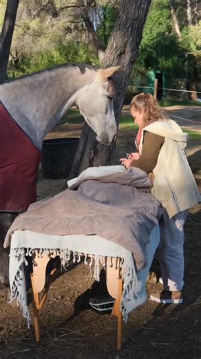 Elle est venue malgré la peine. Malgré le vide. Malgré le chagrin de la perte. Elle aurait pu rester chez elle, se refermer, attendre que “ça passe”. Elle a choisi l’inverse : se présenter exactement comme elle était. Et c’est ça qui a tout changé. En Cheval Médecine™, ta carapace ne sert à rien. Le cheval lit ce que tu ne dis pas. Il ressent ce que tu caches. Et il répond à TA vérité, pas à ton personnage. La guérison, elle naît de là : d’un corps qui ose s’adoucir, d’une émotion qui ose sortir