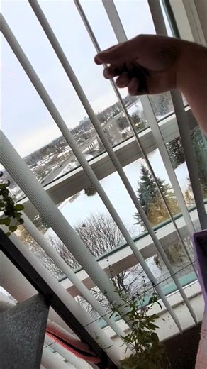 p12#roomcleaningupdate #hydroponics #cleanwithme #arduino #automation #fiasco #evscleaning cleaning