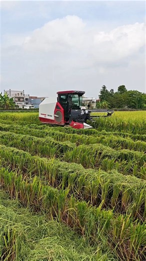 yanmar paddy harvester 🌾 #shorts #harvester #farm