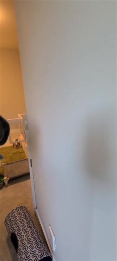 Funny Bunny Gets Stuck in the Wall - Hilarious Moment!