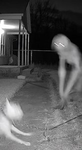8.5K views · 28 reactions | The Creature Tried — But the Dog Fought Harder #skinwalker #fblifestyle #night #scary #horror #cctv #caughtoncamera | navsinta | Facebook
