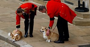 Queen Elizabeth II’s corgis and pony watch funeral procession at Windsor Castle
