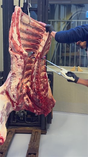 Understanding the Process of Breaking Down an Ox