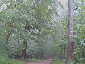 Serenity ~ Alain Morisod & Sweet People