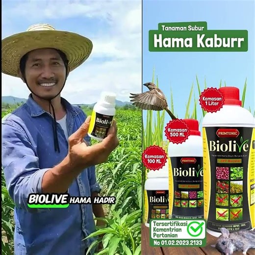 2x Semprot, Hama Kabur? Ini Rahasianya!