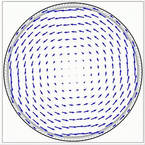 Mathematics explains how giant whirlpools form in developing egg cells
