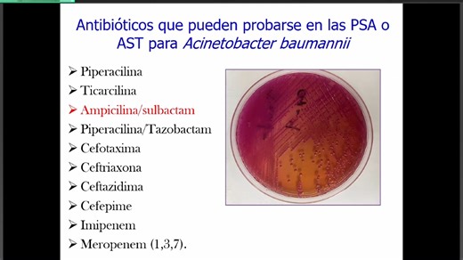 1.1K views · 35 shares | Acinetobacter spp.n Sesión academica #NoelIvan Importancia en diálisis, hemodialisis y nefrología. QBP Domingo Sánchez Francia Hospital del Niño Morelense Emiliano Zapata, Morelos #noelivan | Nöel Ivan | Facebook
