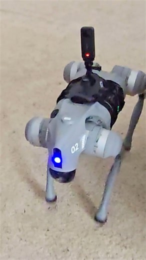 FGTeeV on Instagram: "Who needs a furry slobber #robotdog #robotics #newdog #ai #remotecontrol #hiddencanera #prank #fgteev #funnelvision #fvfamily"