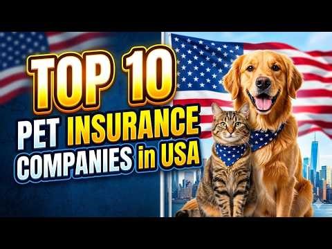 Top Best Pet Insurance Companies in the United States 2026 | Top Pet Insurance Companies
