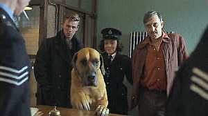 Watch WPC 56 Season 1 Episode 1 - Sink or Swim