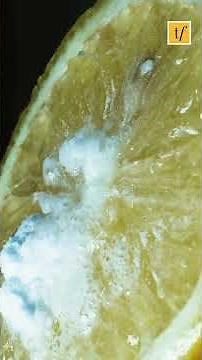 Baking soda truth that shocks beginners