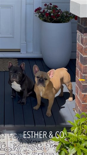 A dress that defies gravity and occasion - behold the Holden Dress! 💐 #esther | Esther & Co.