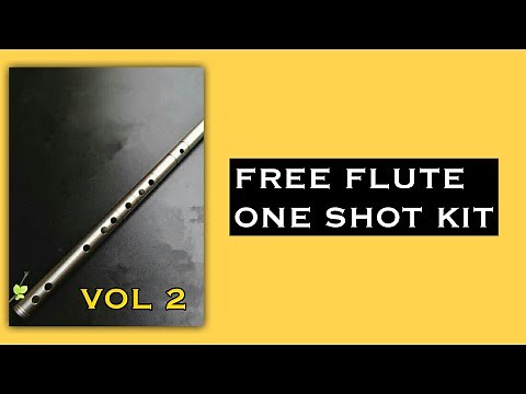 (FREE DOWNLOAD) FLUTE One Shot Kit 2021 "VOL 2" - (Cubeatz, Pvlace, Frank Dukes, Internet Money)