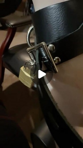 Trevor McNally on Instagram: "Master Lock opened without using a Master Lock. Tools from @covertinstruments - gentle reach (Echelon Set) & 0.040” turner (Genesis Set) #lockpicking #masterlock #security"