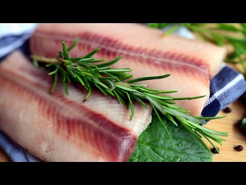 How to Fillet A Shark | Step By Step Guide to Shark Fillets